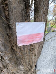 Cmentarz w Upper Largo Szkocja