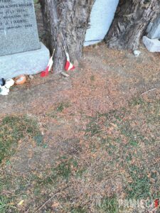 Cmentarz w Upper Largo Szkocja