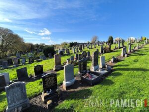 Cmentarz Scoonie Szkocja