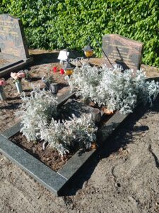 Utrecht Daelwijck grób Juliusza Dziakiewicza